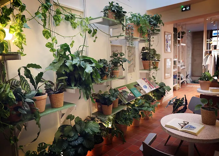 French TheoryHotel Parigi